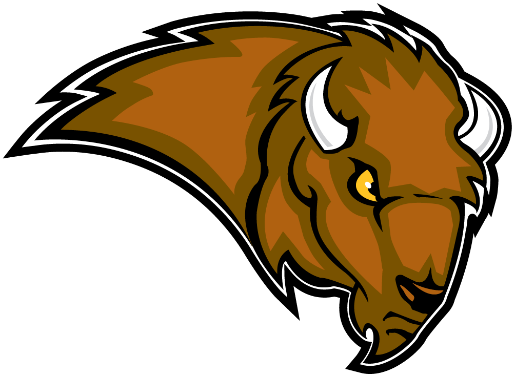 Lipscomb Bisons 2002-2011 Secondary Logo iron on transfers for clothing